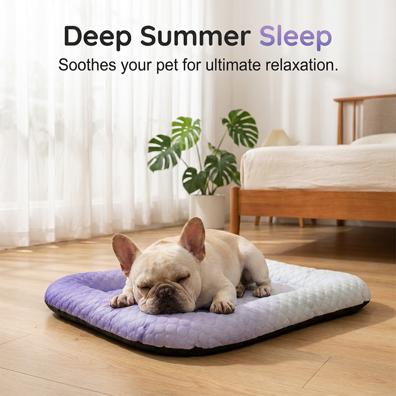 ChillPaw™ — Instant, Soothing Coolness Your Pet Will Crave Every Day