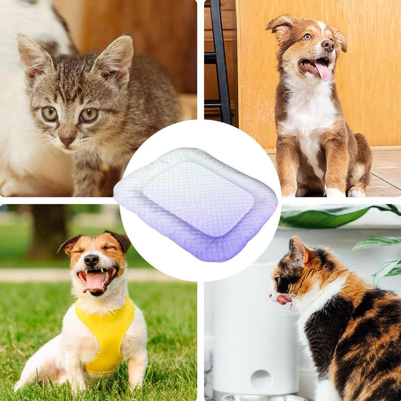 ChillPaw™ — Instant, Soothing Coolness Your Pet Will Crave Every Day