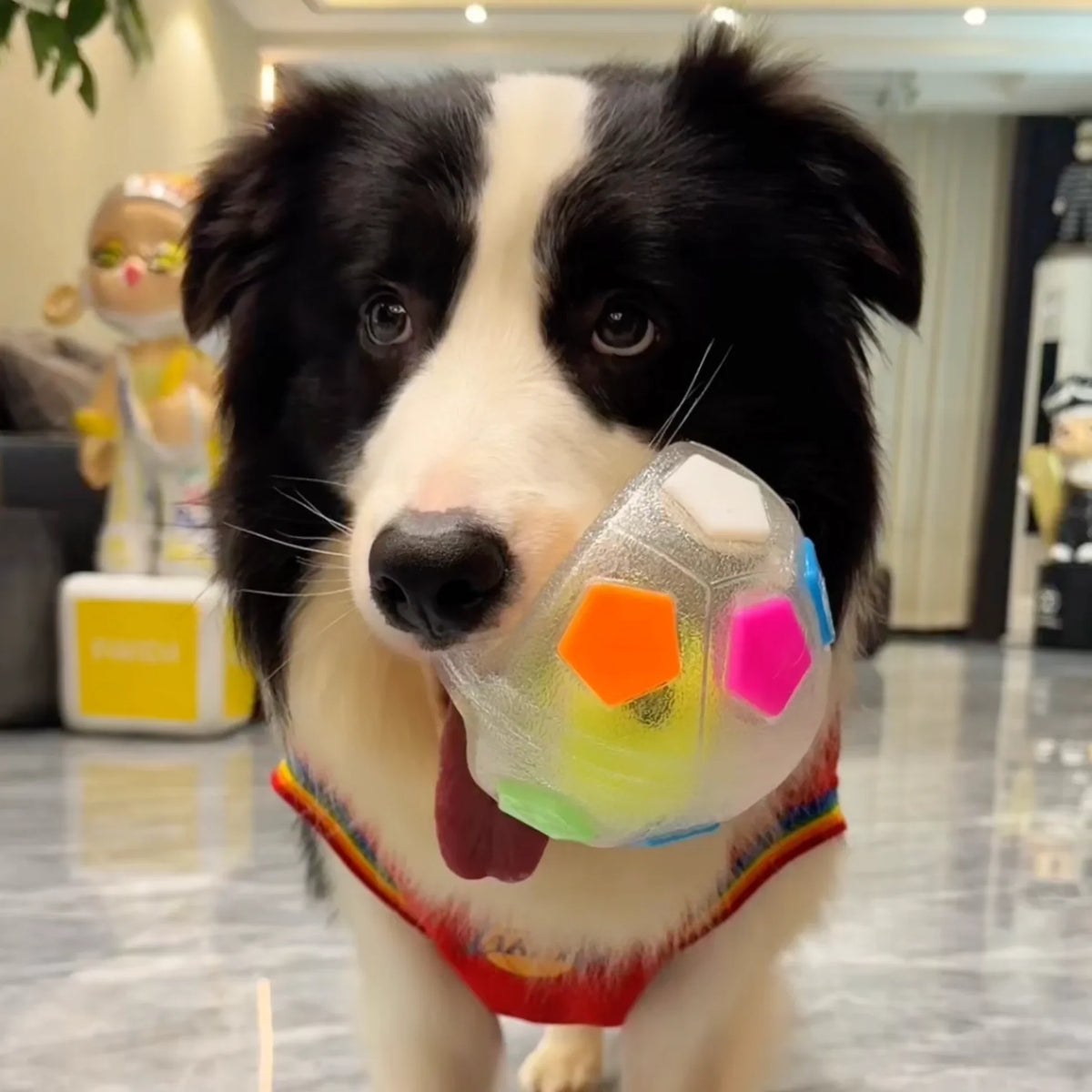 PawJoy™ - Treat-Dispensing Interactive Dog Toy