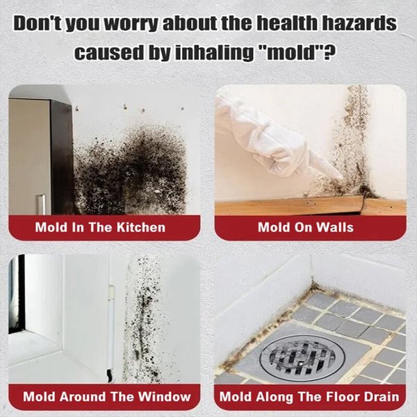 BioBlitz™ Mold Eraser — Effortlessly Erase Mold and Breathe Easy Again
