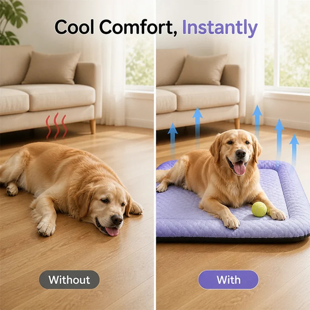 FrostyPaws™ — Keep Your Best Friend Cool and Comfy