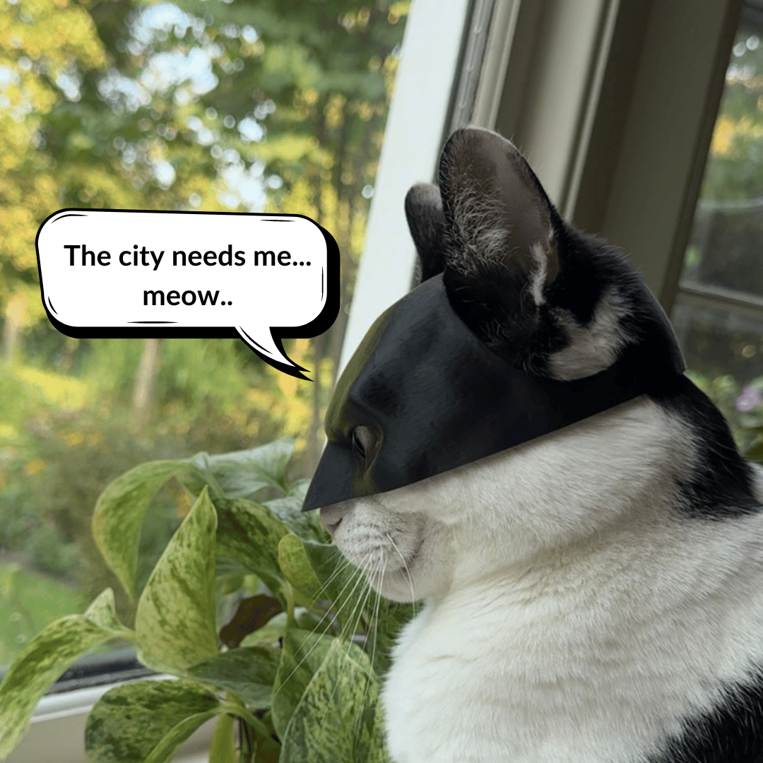 WhisperWing™ — Make Your Cat Shine with Effortless Comfort and Irresistible Charm