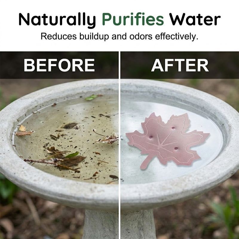 AquaLeaf™ — Transform Your Bird Bath Into a Sparkling Haven That Invites Life and Joy