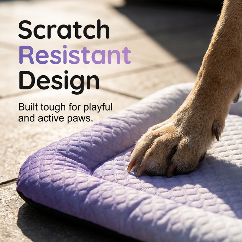 ChillPaw™ — Instant, Soothing Coolness Your Pet Will Crave Every Day