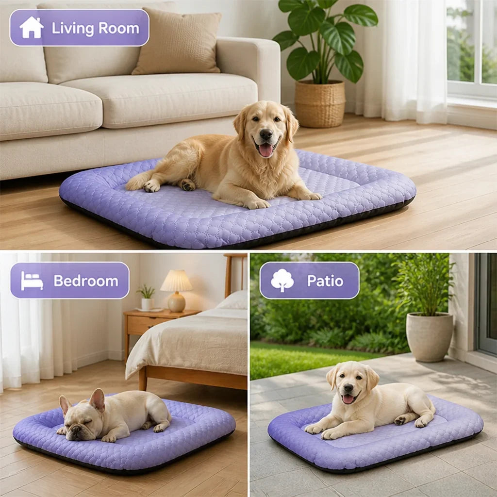 FrostyPaws™ — Keep Your Best Friend Cool and Comfy