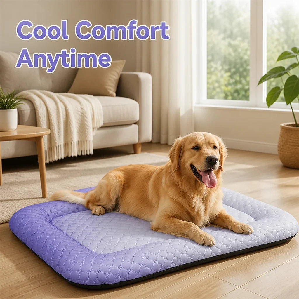 FrostyPaws™ — Keep Your Best Friend Cool and Comfy
