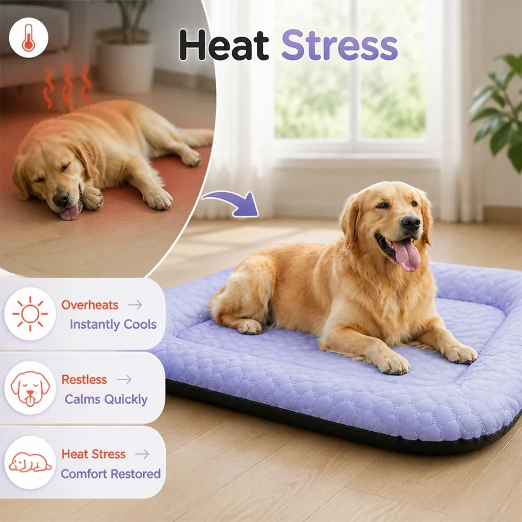 FrostyPaws™ — Keep Your Best Friend Cool and Comfy
