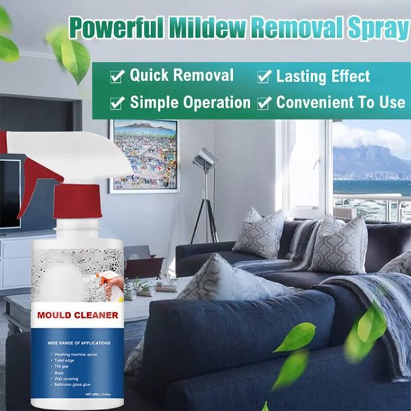 BioBlitz™ Mold Eraser — Effortlessly Erase Mold and Breathe Easy Again