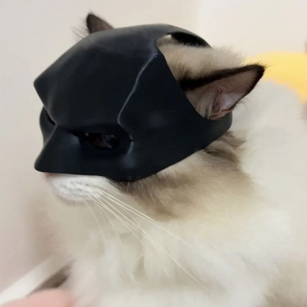WhisperWing™ — Make Your Cat Shine with Effortless Comfort and Irresistible Charm