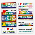 PrideRide™ — Magnetic Car Pride Decals