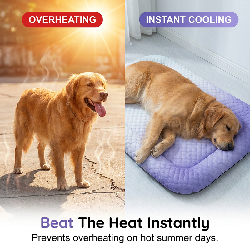 ChillPaw™ — Instant, Soothing Coolness Your Pet Will Crave Every Day