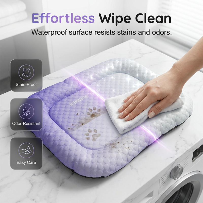 ChillPaw™ — Instant, Soothing Coolness Your Pet Will Crave Every Day