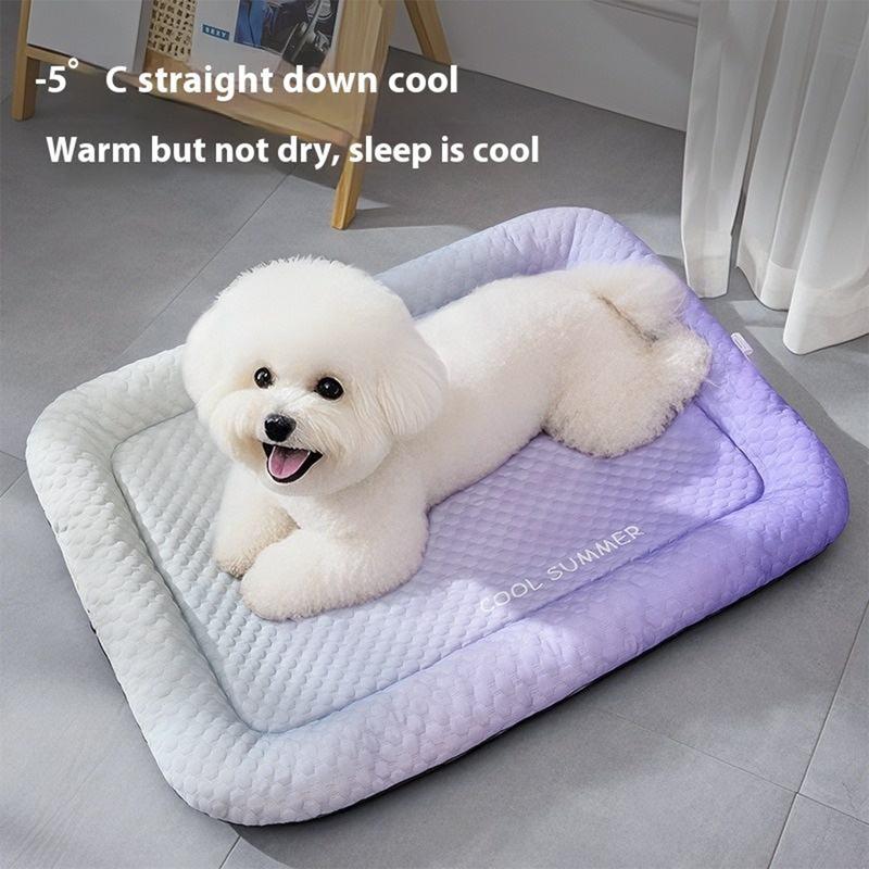 ChillPaw™ — Instant, Soothing Coolness Your Pet Will Crave Every Day