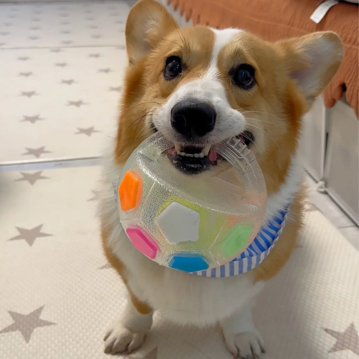 PawJoy™ - Treat-Dispensing Interactive Dog Toy
