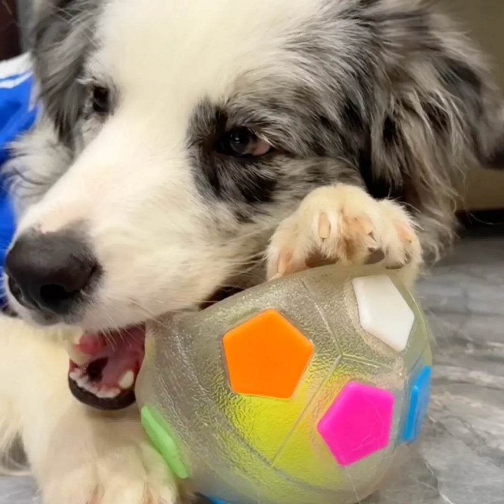 PawJoy™ - Treat-Dispensing Interactive Dog Toy