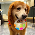 PawJoy™ - Treat-Dispensing Interactive Dog Toy